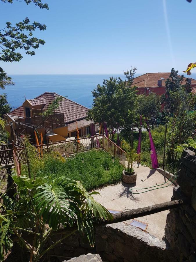 فندق Dazk Golden Estate ريبيرا برافا المظهر الخارجي الصورة